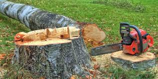 Best Firewood Processing and Delivery  in Deming, NM