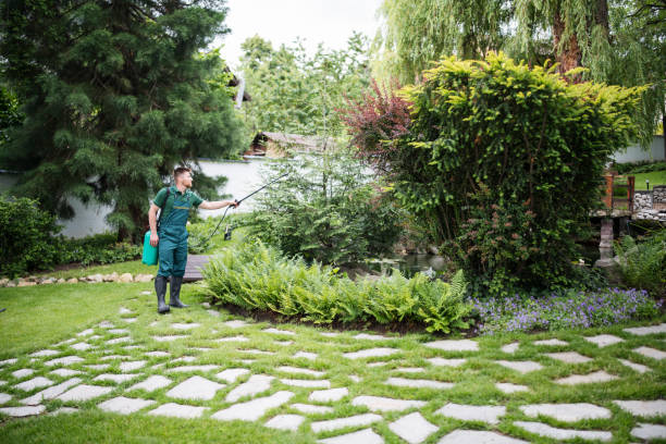 Best Lawn Grading and Leveling  in Deming, NM